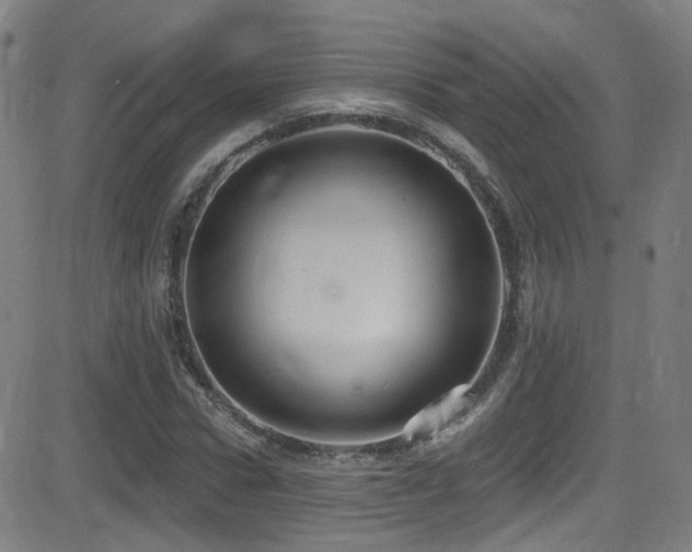 X0000081400922200701111539