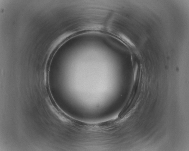 X0000081400940200701111539