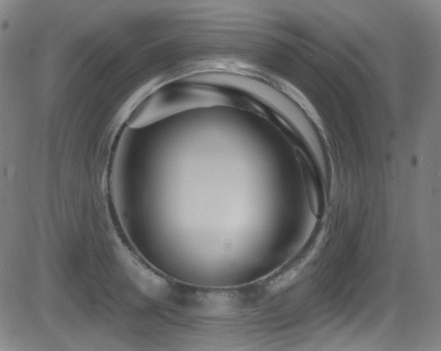 X0000081400946200701111539