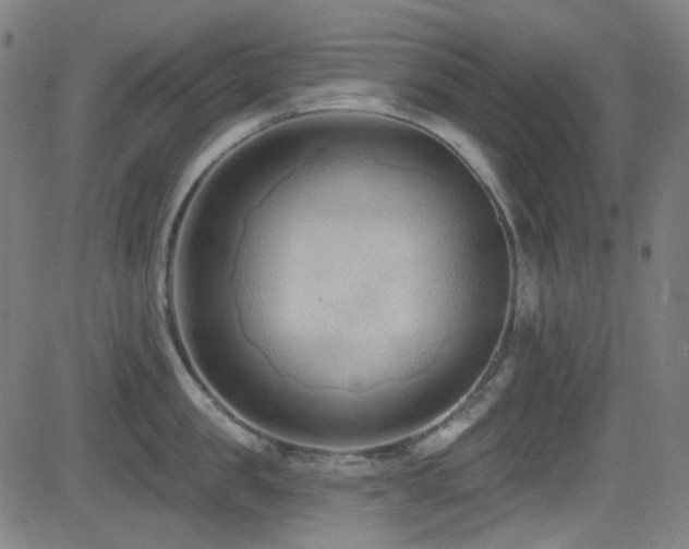 X0000081400957200701111539