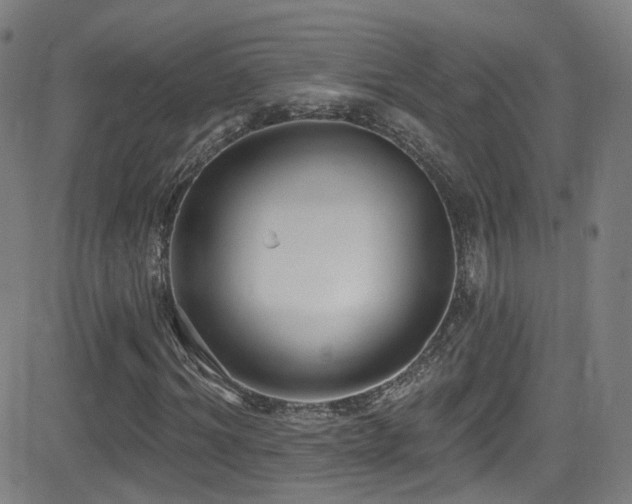 X0000081400964200701111539
