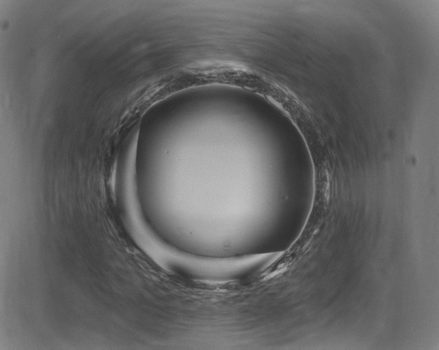 X0000081400965200701111539