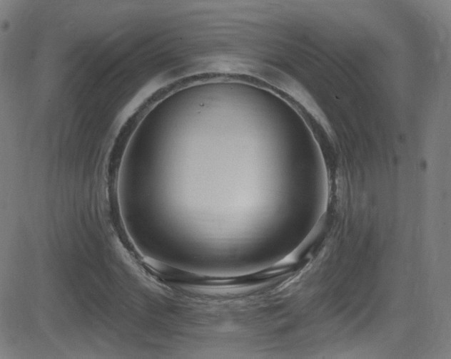 X0000081400972200701111539