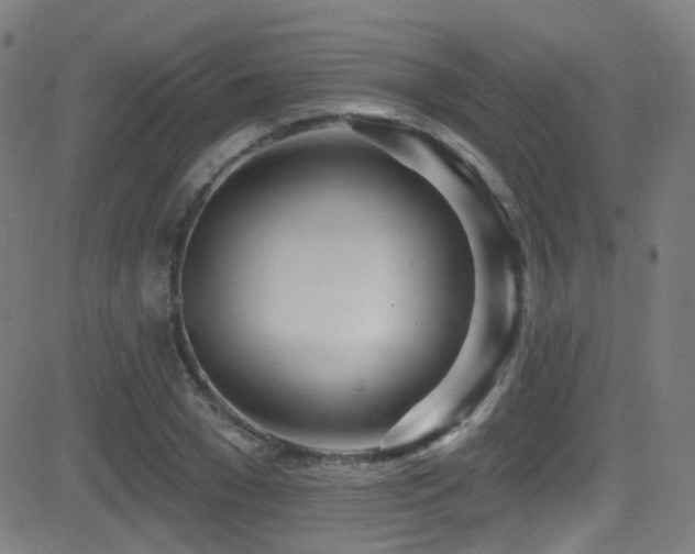 X0000081400977200701111538