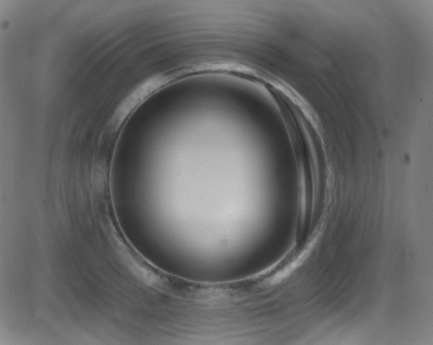 X0000081400993200701111538