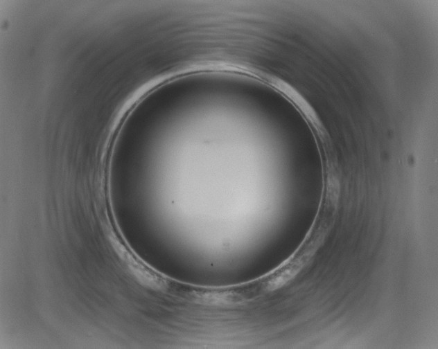 X0000081401004200701111538