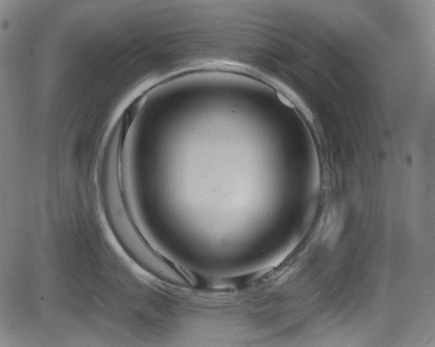 X0000081401007200701111538