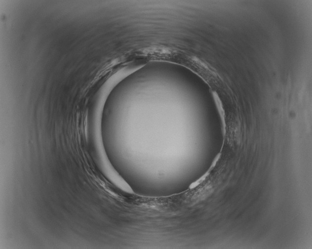 X0000081401010200701111537