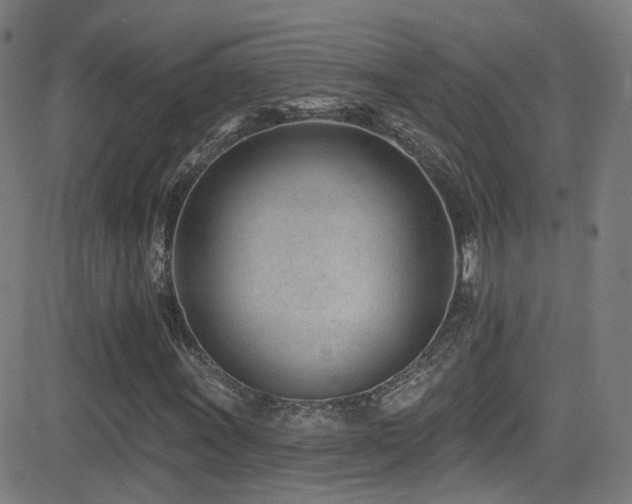 X0000081401011200701111537