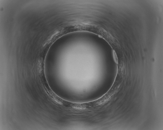 X0000081401012200701111537