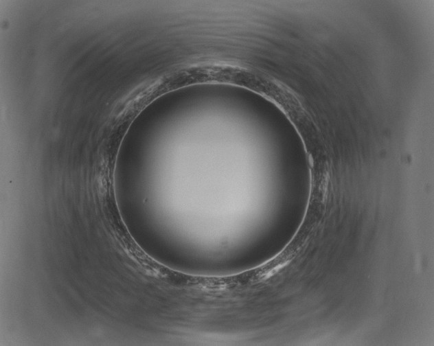 X0000081401014200701111537