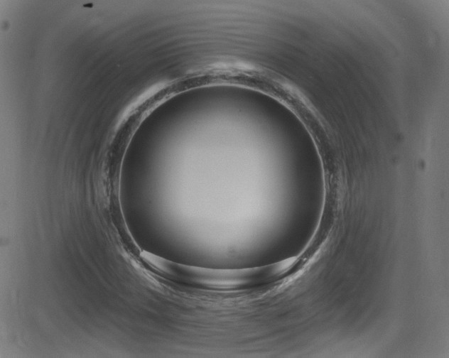 X0000081401018200701111537