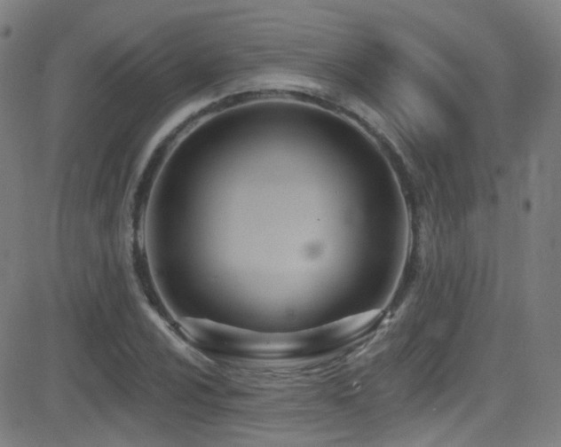 X0000081401024200701111537