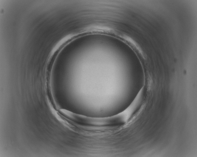 X0000081401038200701111538