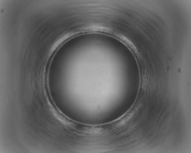 X0000081401039200701111538