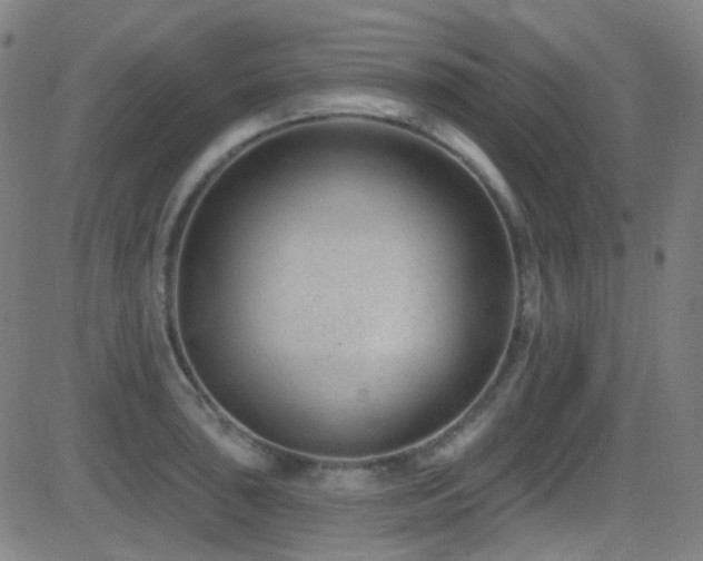 X0000081401043200701111538
