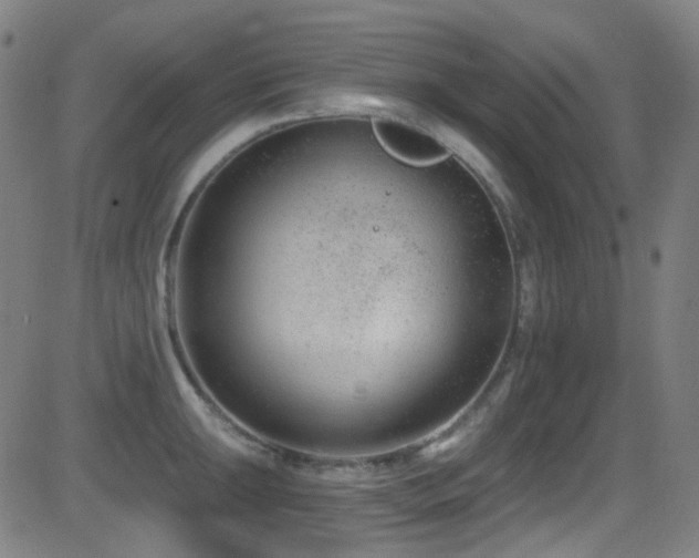X0000081401047200701111538