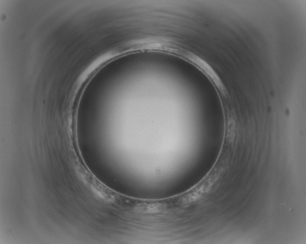 X0000081401051200701111538