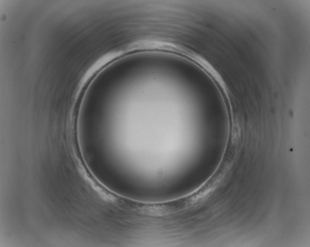 X0000081401053200701111538