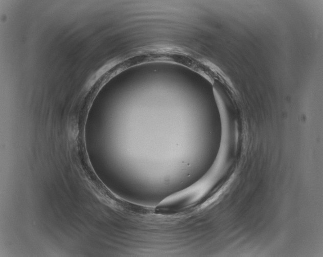 X0000081401065200701111537