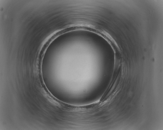 X0000081401068200701111537