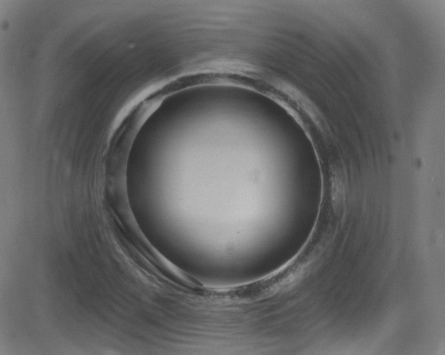 X0000081401069200701111537