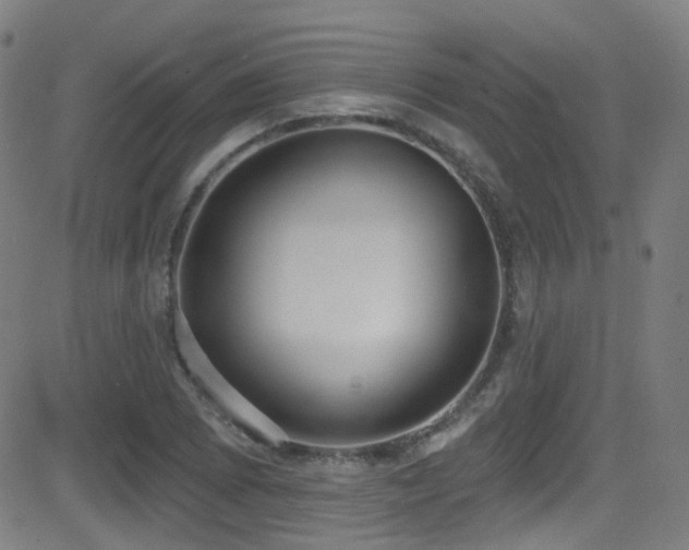 X0000081401073200701111537
