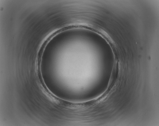 X0000081401076200701111537