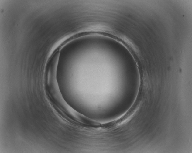 X0000081401077200701111537