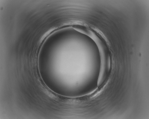 X0000081401081200701111537