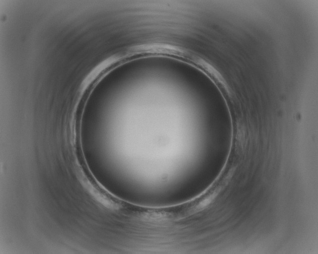 X0000081401082200701111537