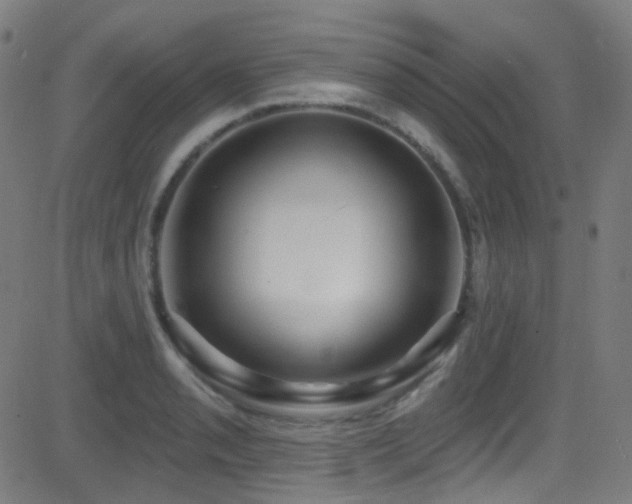 X0000081401085200701111537