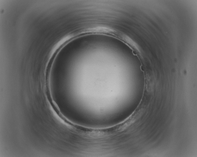 X0000081401087200701111537
