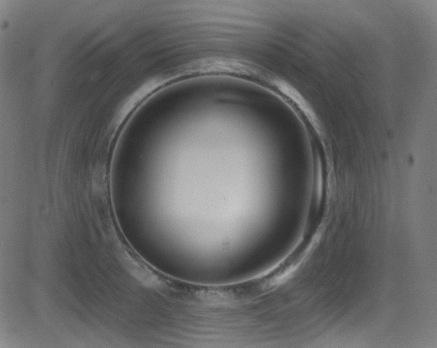 X0000081401089200701111537