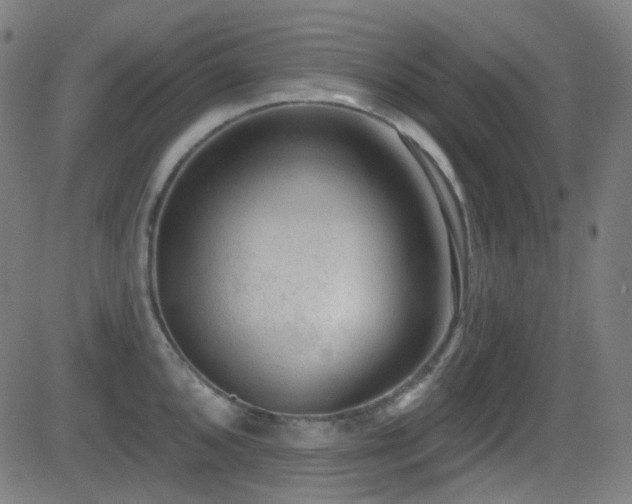 X0000081401096200701111537