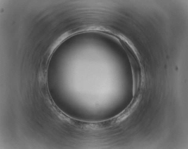 X0000081401097200701111537