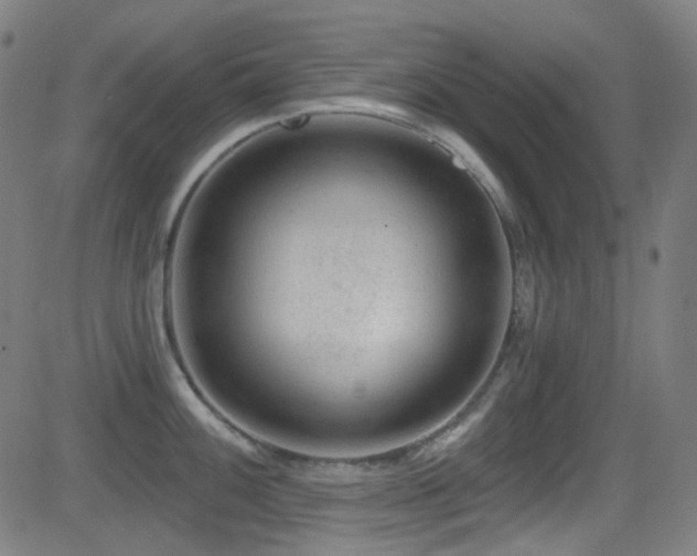 X0000081401100200701111536