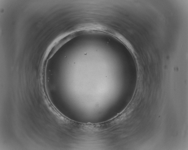 X0000081401104200701111536