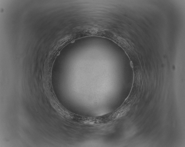 X0000081401105200701111536