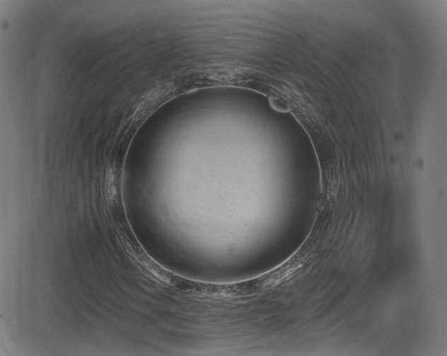 X0000081401106200701111536
