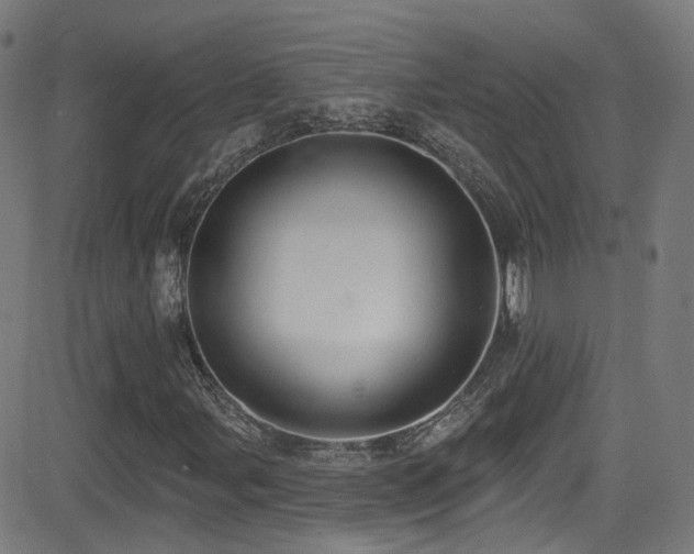 X0000081401107200701111536