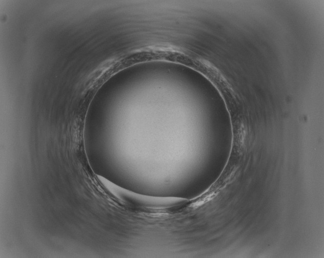 X0000081401110200701111536