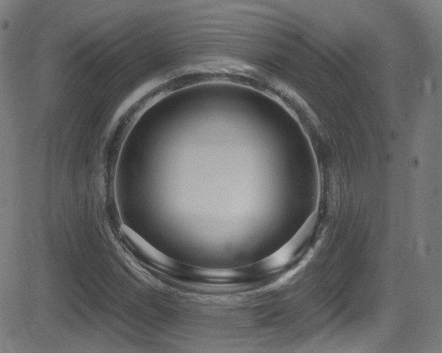 X0000081401114200701111536