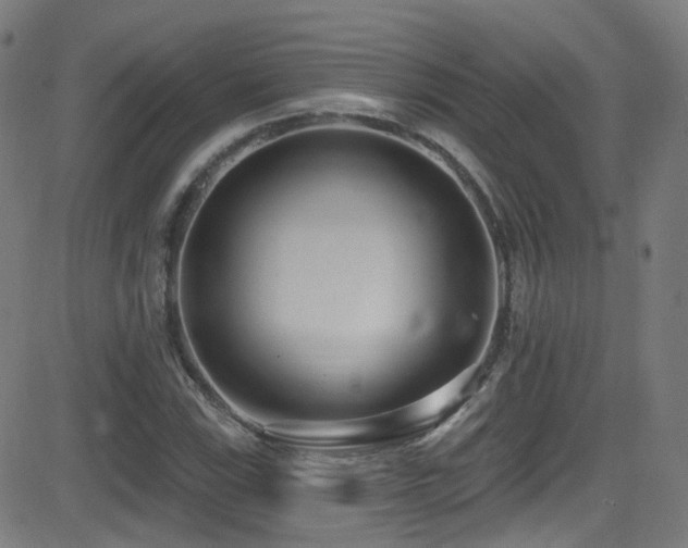 X0000081401115200701111536
