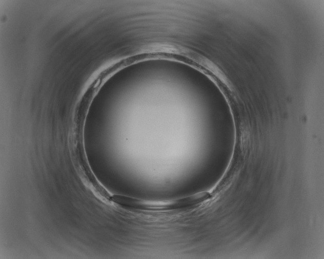 X0000081401116200701111536