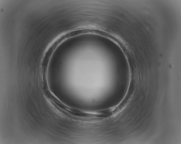 X0000081401118200701111536