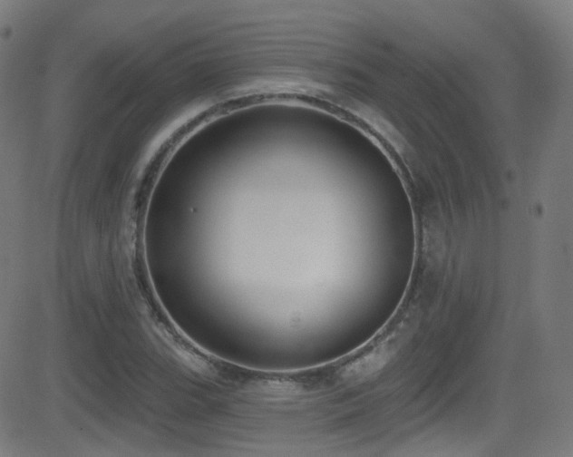 X0000081401119200701111536
