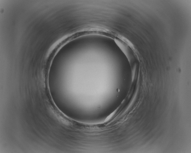 X0000081401120200701111536