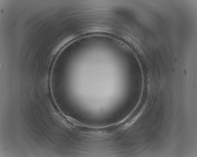 X0000081401121200701111536
