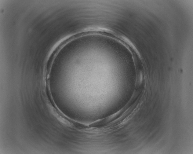 X0000081401124200701111536